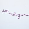 Camera della Melagrana